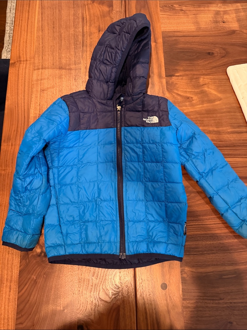 The North Face Blue and Navy Quilted Hooded Puffer